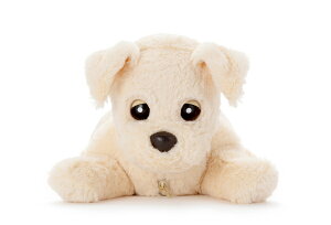 yI}PtzƂ肱_bL[ oj ׂ  ʂ ׂ邨 ׂʂ Vё l炵   ̓ ̓ hV̓ a v[g 