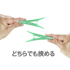 ylR|XzyszyzNo[yO 20×2Zbg oT~ pi 狲߂oT~ TCh c A  TChoT~ nK[ 