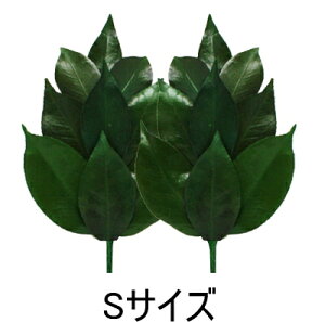 ylR|XzyzvU[uh   STCY _I ͂Ȃ ͂Ȃ vU[uht[ uU[h vU[uh  ւsv { Y ObY  ʔ 