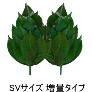 ylR|XzyzvU[uh   SVTCY ʃ^Cv _I ͂Ȃ ͂Ȃ vU[uht[ uU[h vU[uh  ւsv { Y ObY 