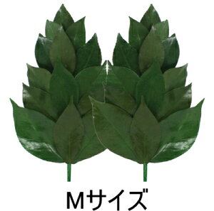 ylR|XzyzvU[uh   MTCY _I ͂Ȃ ͂Ȃ vU[uht[ uU[h vU[uh  ւsv { Y ObY  ʔ 