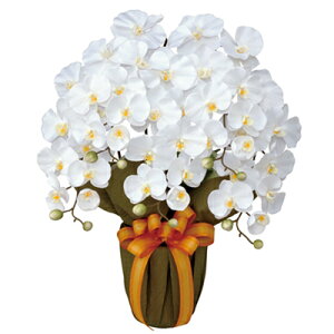 yizysz̊y GKgӒ5{W 452A80  lHϗtA ϗtA G} V-CAT G} G}ϗtA A[gO[ lH A Mtg Vzj JXj 