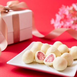 yizyszґ܂邲Ƃ̃zCg`R 250g×4Zbg `R[gXibN `R[g { Y  q LbY  َq َq yY q o