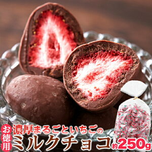 yizyszZ܂邲Ƃ̃~N`R 250g×4Zbg `R[g  ܂邲Ƃ ~N`R t[YhC C`S`R[g XC[c { Y 
