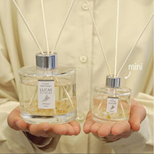 LUCAS 򉻃fBt[U[ mini {2×3Zbg zCgZ[W JX A}ObY   VR p[Xg[ Z[W n[u ObY  ʔ lC