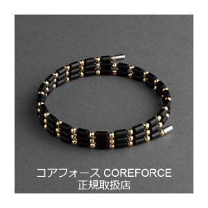 y񂰑+bsOtzRAtH[X[v K18 S[h CFL50 50cm K Í]ʉ RAtH[X COREFORCE uXbg lbNX ANbg RAz[X ANZT[  S