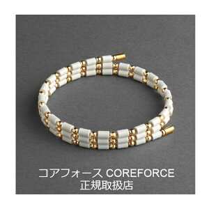 y񂰑+bsOtzRAtH[X[v zCg K18 50cm K Í]ʉ RAtH[X COREFORCE uXbg lbNX ANbg RAz[X ANZT[  St 