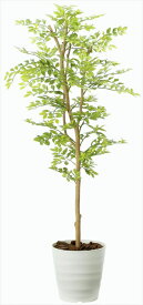 【直送品】【代引き不可】ゴールデンリーフ1.25m 2013A200 人工観葉 フェイクグリーン 造花 観葉植物 人工 光触媒 人工観葉植物 ギフト 新築祝い 引越し祝い 敬老の日 母の日 父の日 誕生日 バースデー プレゼント ギフト 贈り物 お祝い 贈答品 グッズ おすすめ 人気 通販