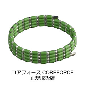 y񂰑+bsOtzRAtH[X[v CO[ K14WG 70cm K Í]ʉ RAtH[X COREFORCE uXbg lbNX RAz[X ANZT[  St XC