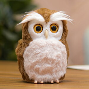 J^AhoCU[ nbs[ӂ낤 ʂ l`  ׂ J^ ^ 肢  ̂ ̑̑ ]g ql Vё l炵  ̓ ̓ N hV̓ a