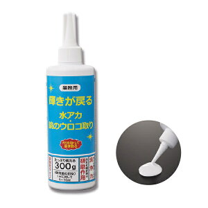 Ɩp P߂ AJẼER 300g KX|p |pi }`N[i[  AJ C 낱 N[i[  ER 낱 낱Ƃ ER KX Xe