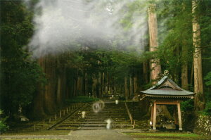 H Ղ̎ʐ^ ȂX̎_ J^A[g J^ACe J^ObY G 摜 ʐ^ J^ K^ J^CeA ^CAbv J^tHg J^ʐ^ Xs`A N j 