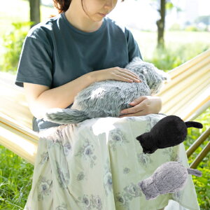 yI}PtzMeowEver ~EGo[ ʂ l`  L lR Zs[{bg S  Zs[ {bg ObY 킢  L̓ lR̓ l炵 N Nz 