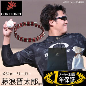 y񂰑+bsOtzRAtH[X[v J[fBibh SUS CFL50 50cm Kvp RAtH[X St K COREFORCE uXbg lbNX RAtH[XuXbg