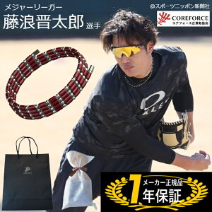 y񂰑+bsOtzRAtH[X[v J[fBibh SUS CFL70 70cm Kvp RAtH[X St K COREFORCE uXbg lbNX RAtH[XuXbg