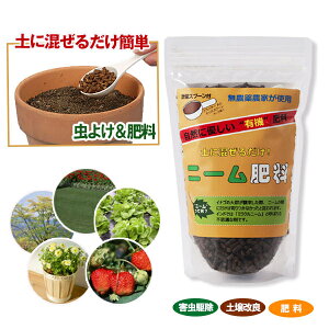 j[VR엿 500g ^Cv×4Zbg  엿 j[  VR  엿 c  A  ǂ񂱕a ѕa \h ΍ l  Q ObY  ʔ lC