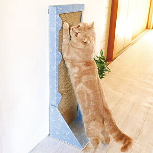 ŵт̂яc^܂Ƃ Lp܂Ƃ ܃PApi ybgppi ybgObY ܂Ƃ Lp ybgp܂Ƃ L ˂ _{[ i{[ ܂݂ ǖ ߂Ƃ O ܓu 