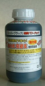yizyszQbt YX[p[ubN 1L pi  Qb΍ Qb΍ObY ObY Qb΍pi Q΍pi ObY  ʔ lC