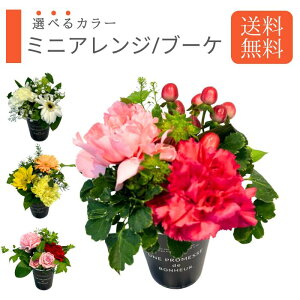 yIׂJ[z܂AW/u[P MTCY   AW Mtg a v[g AWg a j JXj ސEj   j LO