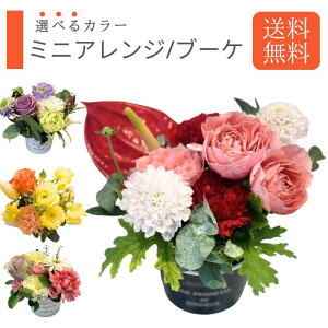 yIׂJ[z܂AW/u[P LTCY   AW Mtg a v[g AWg a j JXj ސEj   j LO