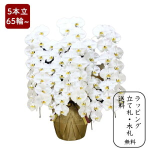 Ӓ y5{65ֈȏz ʐ^zM ԏ㑊DE؃bsO yj v[g  蕨 JX J@ J ړ] AC i  E ސE h] i I N i 