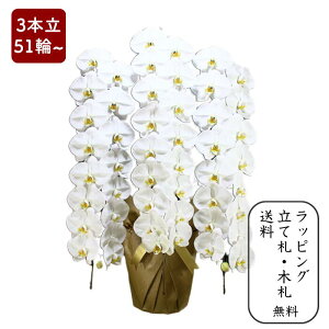 Ӓ y3{51ֈȏz ʐ^zM ԏ㑊DE؃bsO yj v[g  蕨 JX J@ J ړ] AC i  E ސE h] i I N i 