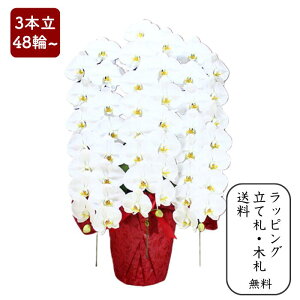 Ӓ y3{48ֈȏz ʐ^zM ԏ㑊DE؃bsO yj v[g  蕨 JX J@ J ړ] AC i  E ސE h] i I N i 