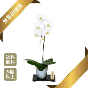 ܌Ӓ  1{6ֈȏ yj v[g  蕨 JX J@ J ړ] AC i  E ސE h] i I N i җ ËHz