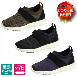 y܂Ƃ߂ĊzSaiSai Xgb`jbgXj[J[@xg^Cv@WG110@(}AkC)y̔zyCzyV[YzynrV[YzyszyOo ⏕zyhV