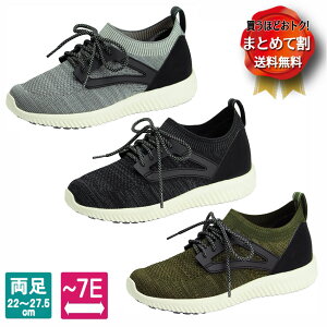 y܂Ƃ߂ĊzSaiSai Xgb`jbgXj[J[@V[[X^Cv@WG130@(}AkC)y̔zyCzyV[YzynrV[YzyszyOo ⏕zyh