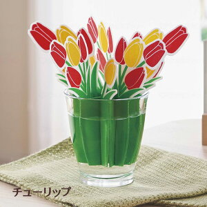 y|XgցzǂłCX`[yzy΍zyRCzyGRzyzypz