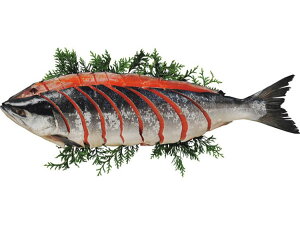 gpؐg(1)yΕzyNzyNnzyzy~Mtgz