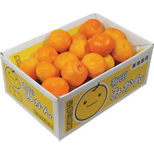 yza̎RY Lc݂ (3kg) yΕzyzy~Mtgz