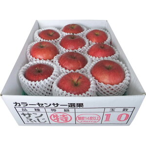 XYx14xȏTӂ(2.5kg)yΕzyzy~Mtgz