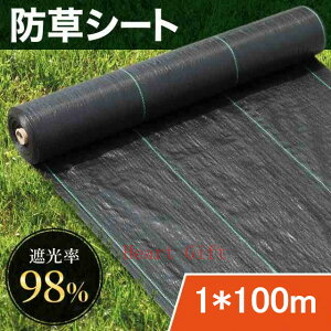 u5%OFFN[|zzvhV[g 1m×100m Gh~V[g ڂV[g G V[g c  xkc  ԏ rj[nEX l