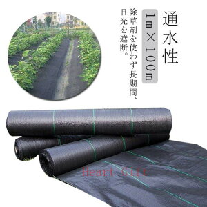 u10%OFFN[|zzvhV[g 1m×100m Gh~V[g ڂV[g G V[g c  xkc  ԏ rj[nEX l