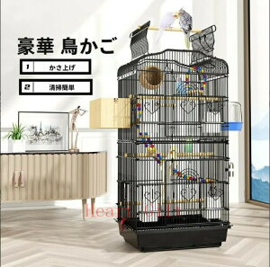  P[W x  ؃P[W 傫  X^hto[hP[W uRt tnEX ybgpi t CR IEP[W