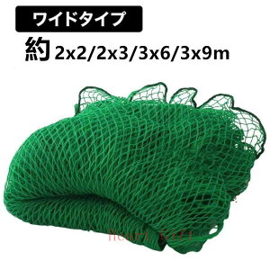 싅lbg   obeBOlbg 싅 d ^  싅plbg obNlbg 2m×3m/3m×6m/3m×9m