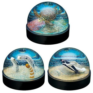 L^Nu EH[^[h[t@Ng[ Cm × S3Zbg tRv K`K` JvZgC