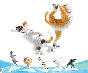 Ղ̔L × S5Zbg tRv K`K` JvZgC Wv r[}Xs obNNX AxXNXpC CioEA[