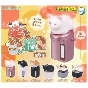 ^[EC^[iVi Tarlin gƂL2 × S6Zbg tRv K`K` JvZgC