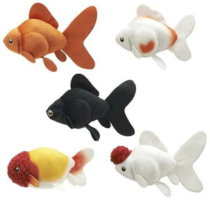 权Nu 킢 킢 ʂ  × S5Zbg tRv K`K` JvZgC  s|p[ fL 񂿂イ O