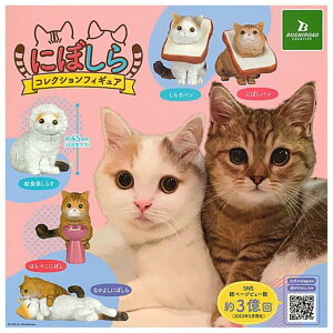 ɂڂ RNVtBMA × S5Zbg tRv K`K` JvZgC L ˂ tBMA }`J o ɂڂ 炷