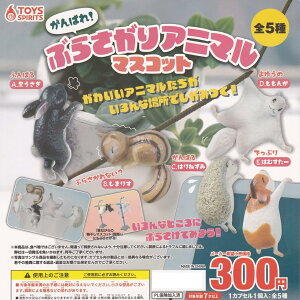 gCYXsbc ΂! Ԃ炳Aj}}XRbg × S5Zbg tRv K`K` JvZgC Ԃ炳  Rv[g