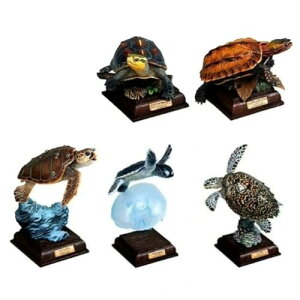  lC`[eNjJ[ {̃J  × A\[g5Zbg K`K` JvZgC