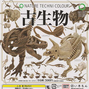  lC`[eNjJ[ Ð × S6Zbg Rv[g K`K` JvZgC tBMA