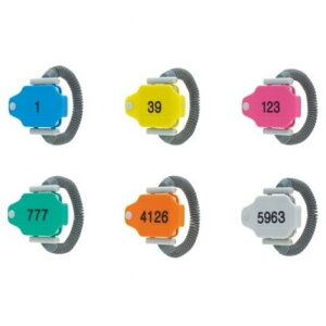 �L�^���N���u ����WATCH × �S6��Z�b�g �t���R���v �K�`���K�`�� �J�v�Z���g�C ����E�H�b�` ���v ���� �E�H�b�` �� ���b�J�[ �v�[�� �T�E�i