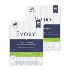 IVORY AC{[ Ό AG 113g×10  2_Zbg (v20)  ΂ ivory