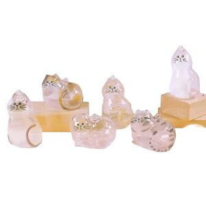 ̎q̂܂ (Ĕ) × S6Zbg tRv K`K` JvZgC Rv[g ы  ܂ ybg  ~j`A tBMA