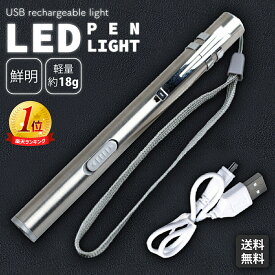 【送料無料】ペンライト LED 懐中電灯 小型 強力 明るい クリップ付 ミニ ハンディライト コンパクト 散歩 登山 キャンプ アウトドア 釣り 防災 停電 作業用 整備 軽量 スリム